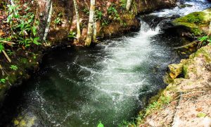 As Nascentes de Águas Cristalinas da Chapada Onde Encontrá-las