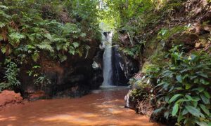 Cachoeira do Dodô: refúgio de águas cristalinas na Chapada das Mesas