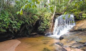 Os Rios Perenes da Chapada das Mesas Natureza em Abundância